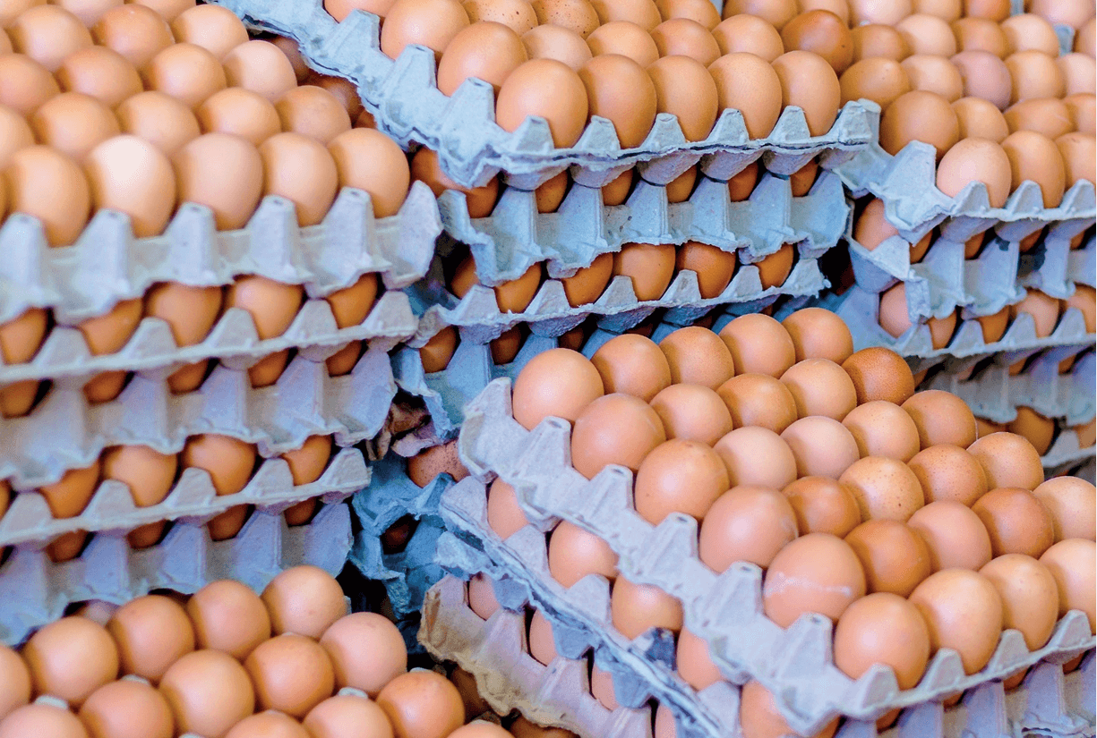 huevos_3
