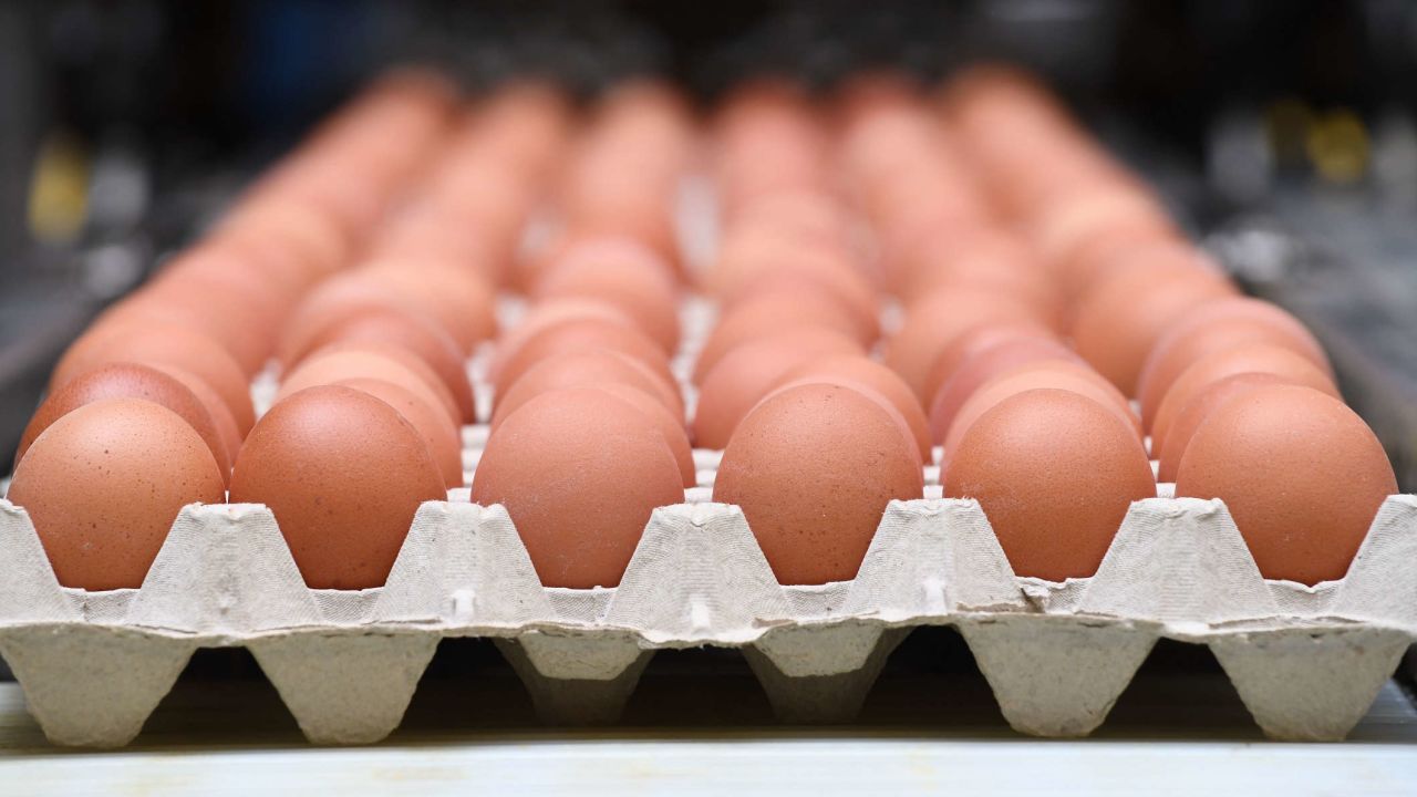 huevos_5
